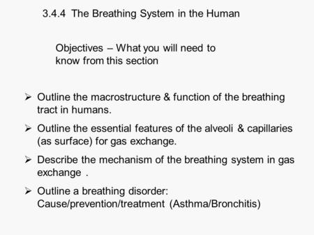 The Breathing System in the Human