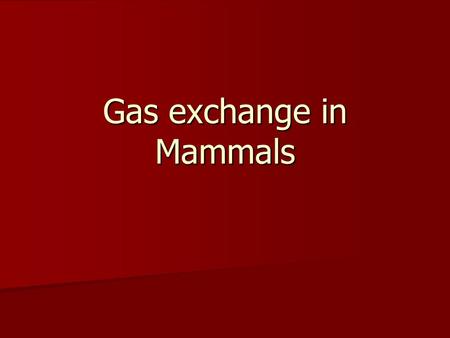 Gas exchange in Mammals. Gas Exchange in Mammals Delivery of O 2 to gas exchange surface (alveoli) and removal of CO 2 from capillaries and out of the.