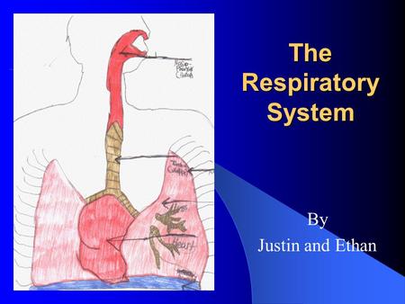 By Justin and Ethan The Respiratory System. The Respiratory System controls your breathing. Every time you breath, you bring in a gas called oxygen. Your.