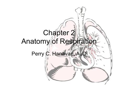 Chapter 2 Anatomy of Respiration Perry C. Hanavan, AuD.
