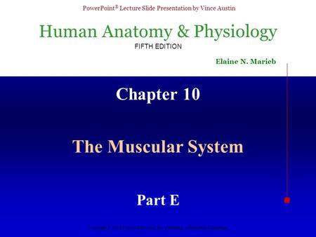 Chapter 10 The Muscular System Part E.
