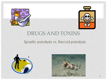 Spastic paralysis vs. flaccid paralysis