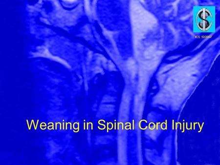 Weaning in Spinal Cord Injury ICS 12/2007. Epidemiology, Demographics and Pathophysiology of Acute Spinal Cord Injury. Lali H.S. et al SPINE 26;245; s2-s12.