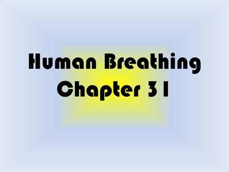 Human Breathing Chapter 31. Human Respiratory System: Consists of a pair of lungs and a series of tubes Lungs located in the thorax (chest) Diaphragm.