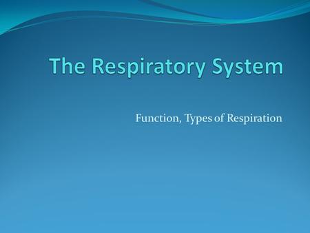Function, Types of Respiration. Respiration External Respiration: exchange of gases between air in the lungs and in the blood Internal Respiration: exchange.
