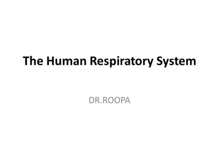 The Human Respiratory System DR.ROOPA. What is the respiratory system? Your respiratory system is made up of the organs in your body that help you to.