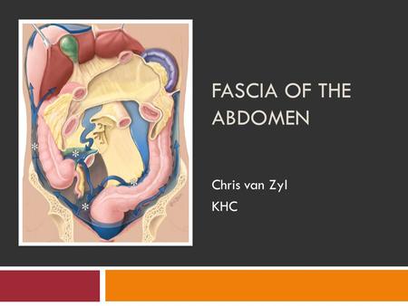 Fascia of the Abdomen Chris van Zyl KHC.