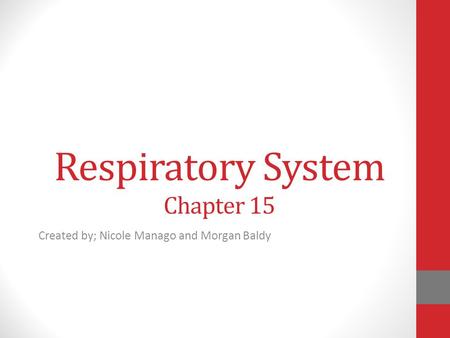 Respiratory System Chapter 15