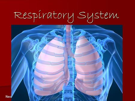 Respiratory System Navasota Junior High.