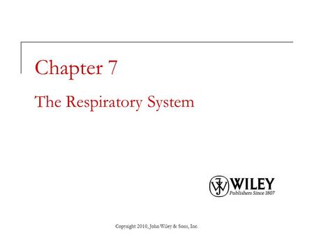 Chapter 7 The Respiratory System