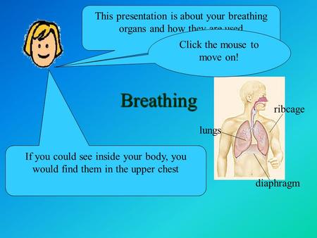 Breathing This presentation is about your breathing organs and how they are used Your breathing organs are the lungs, ribcage and diaphragm. If you could.