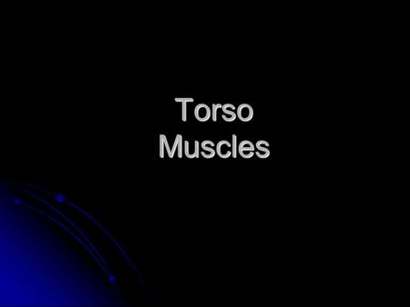 Torso Muscles. Posterior Torso Muscles trapezius deltoid latissimus dorsi infraspinatus teres minor teres major.
