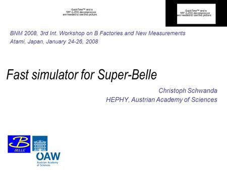 Fast simulator for Super-Belle Christoph Schwanda HEPHY, Austrian Academy of Sciences BNM 2008, 3rd Int. Workshop on B Factories and New Measurements Atami,