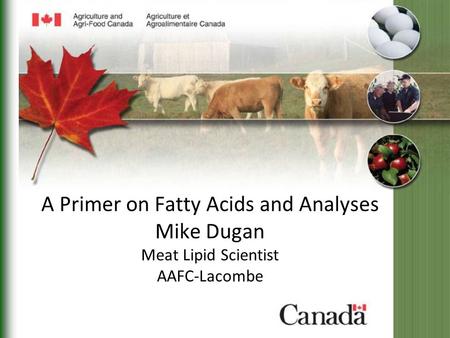A Primer on Fatty Acids and Analyses Mike Dugan Meat Lipid Scientist AAFC-Lacombe.