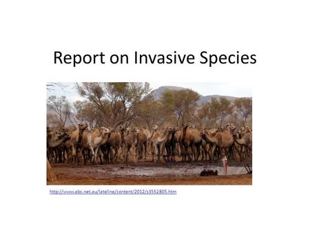 Report on Invasive Species