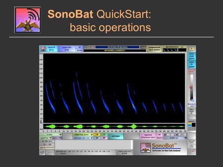 SonoBat QuickStart: basic operations. open file Alternative: Drag and drop a file or directory here.