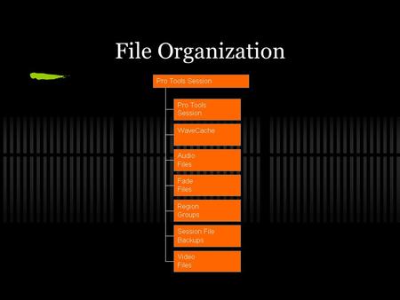 File Organization. File Types Pro Tools Session File: Created when you start a new project Map of all audio tracks, audio & video files, settings, edits,
