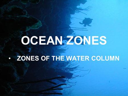 OCEAN ZONES ZONES OF THE WATER COLUMN. So deep in fact that it takes HOURS to free fall to the bottom! The Ocean is much, much deeper than anything on.