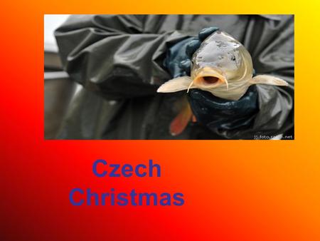 Czech Christmas. For many, December 24 is the most enjoyable day of Christmas holidays. Its Czech name literally means „Generous Day“, probably for the.