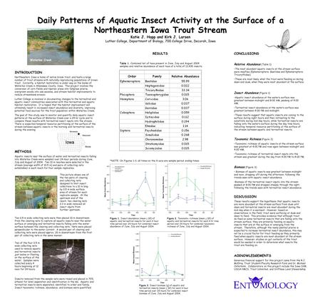 Daily Patterns of Aquatic Insect Activity at the Surface of a Northeastern Iowa Trout Stream Katie J. Hopp and Kirk J. Larsen Luther College, Department.
