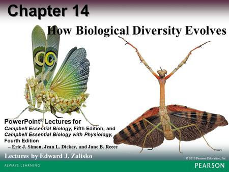 How Biological Diversity Evolves