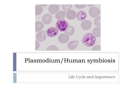 Plasmodium/Human symbiosis Life Cycle and Importance.