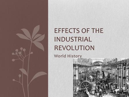 World History EFFECTS OF THE INDUSTRIAL REVOLUTION.