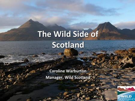 The Wild Side of Scotland Caroline Warburton Manager, Wild Scotland.