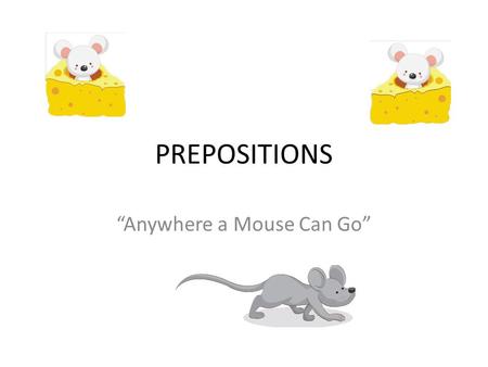 “Anywhere a Mouse Can Go”