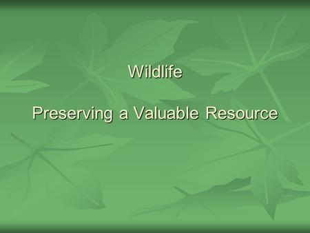 Wildlife Preserving a Valuable Resource. The Values of Wildlife Plants and animals that have not been domesticated are called wildlife. Plants and animals.
