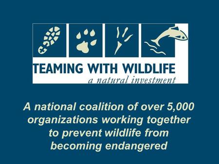 A national coalition of over 5,000 organizations working together to prevent wildlife from becoming endangered.