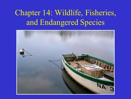 Chapter 14: Wildlife, Fisheries, and Endangered Species