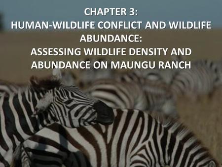 CHAPTER 3: HUMAN-WILDLIFE CONFLICT AND WILDLIFE ABUNDANCE: ASSESSING WILDLIFE DENSITY AND ABUNDANCE ON MAUNGU RANCH.
