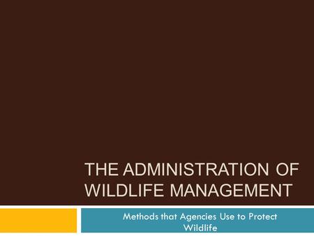 THE ADMINISTRATION OF WILDLIFE MANAGEMENT Methods that Agencies Use to Protect Wildlife.