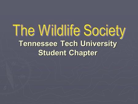 Tennessee Tech University Student Chapter. About the Wildlife Society ► The Wildlife Society (TWS), founded in 1937, is a non-profit scientific organization.