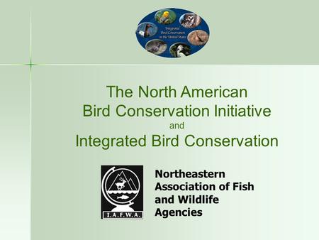 The North American Bird Conservation Initiative and Integrated Bird Conservation Northeastern Association of Fish and Wildlife Agencies.