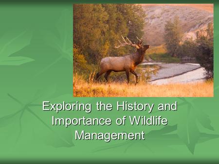 Exploring the History and Importance of Wildlife Management.