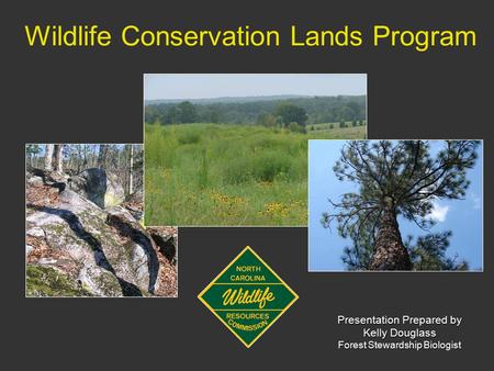 Wildlife Conservation Lands Program Presentation Prepared by Kelly Douglass Forest Stewardship Biologist.