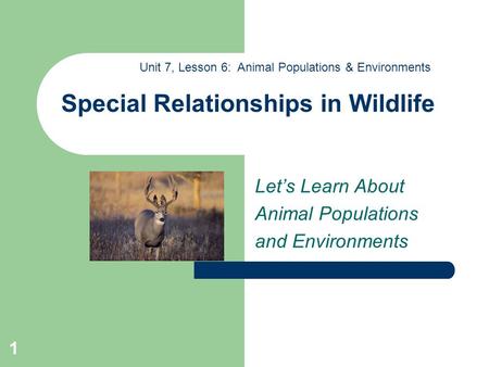 1 Special Relationships in Wildlife Let’s Learn About Animal Populations and Environments Unit 7, Lesson 6: Animal Populations & Environments.