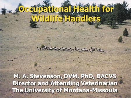 Occupational Health for Wildlife Handlers M. A. Stevenson, DVM, PhD, DACVS Director and Attending Veterinarian The University of Montana-Missoula.