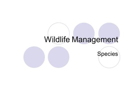Wildlife Management Species. Unit Map Set Up Unit name: Wildlife management Unit Essential Question: How can we manage wildlife to provide the best biodiversity?