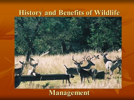 History and Benefits of Wildlife Management