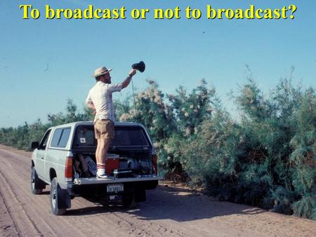 To broadcast or not to broadcast?. How structure call-broadcast? all surveys broadcast same suite of species all surveys broadcast same suite of species.