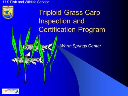 Triploid Grass Carp Inspection and Certification Program U.S Fish and Wildlife Service Warm Springs Center.