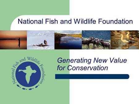 National Fish and Wildlife Foundation Generating New Value for Conservation.