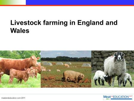 Meatandeducation.com 2011 Livestock farming in England and Wales.