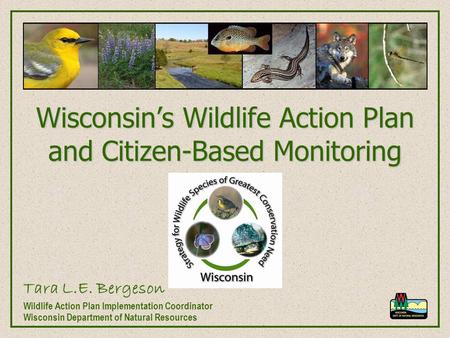 Wisconsin’s Wildlife Action Plan and Citizen-Based Monitoring Tara L.E. Bergeson Wildlife Action Plan Implementation Coordinator Wisconsin Department of.