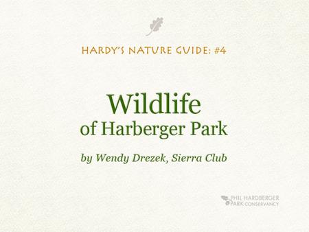 Hardy’s Nature Guide for Young Naturalists I’m Hardy— your Phil Hardberger Park guide to adventure and learning.