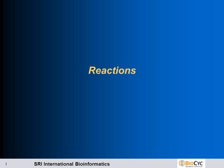 SRI International Bioinformatics 1 Reactions. SRI International Bioinformatics 2.
