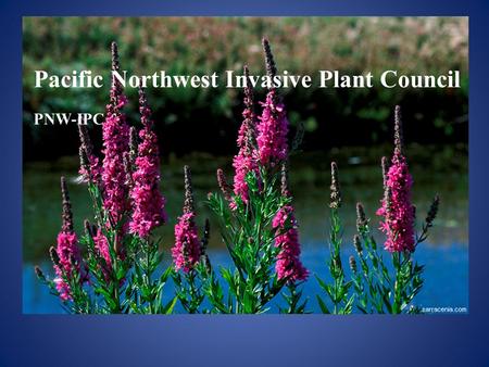 Pacific Northwest Invasive Plant Council PNW-IPC.